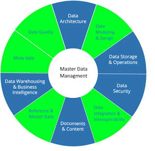 MDM and DG Benefits - DAMA MDM Definition