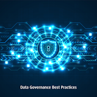 CRM Data Governance Program