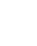 Dynamics 365 Duplicate Prevention