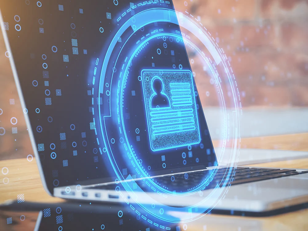 Duplicate Data Identification