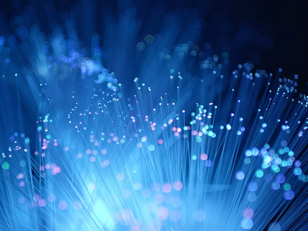Data Enrichment