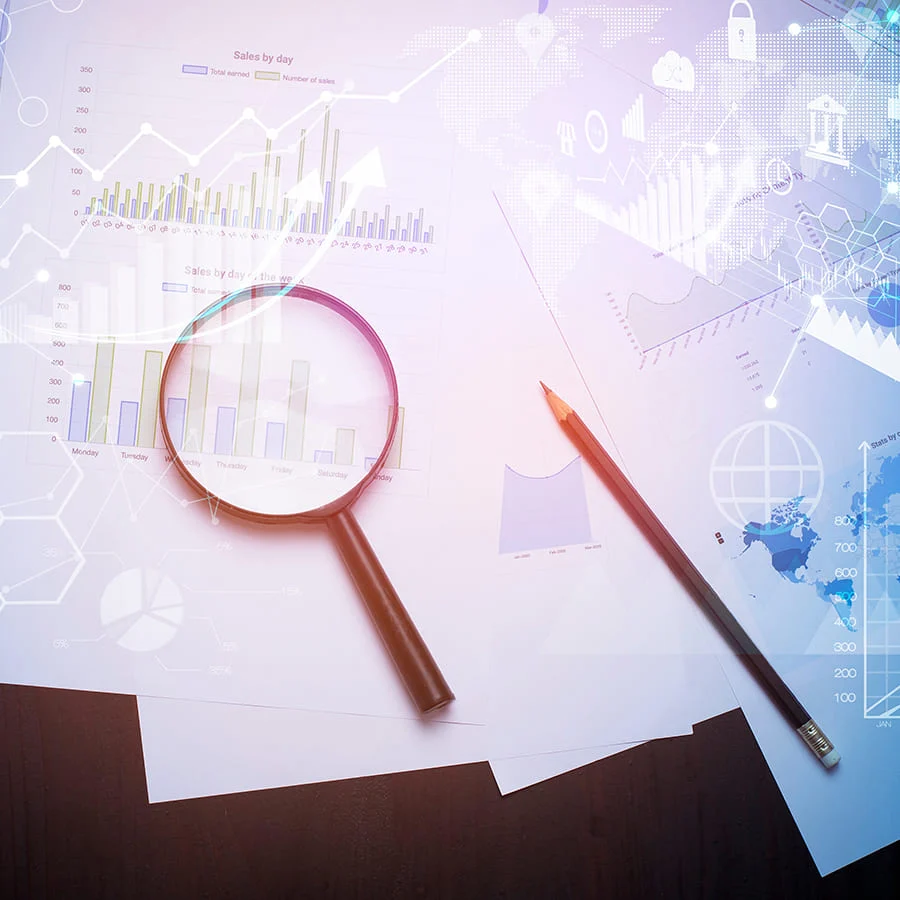 Duplicate Data Review