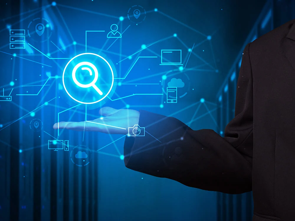Search and Detect